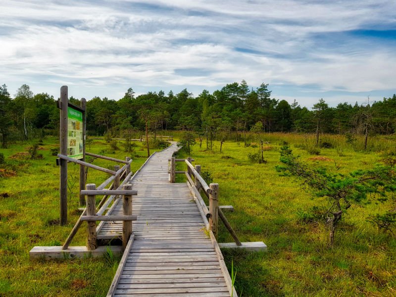 Boglands boardwalk in Slitere National Park _ Escaperies