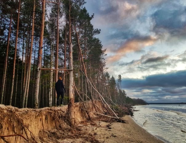 Riga hiking _ broken trees